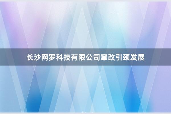 长沙网罗科技有限公司窜改引颈发展