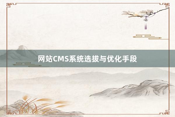 网站CMS系统选拔与优化手段