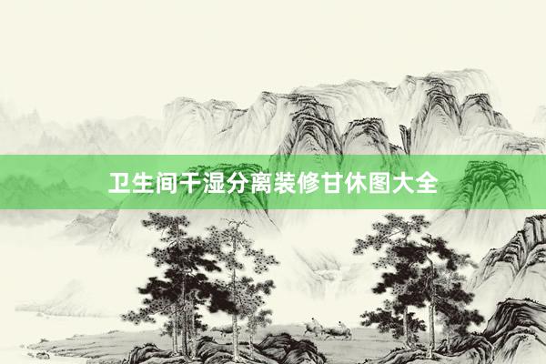 卫生间干湿分离装修甘休图大全
