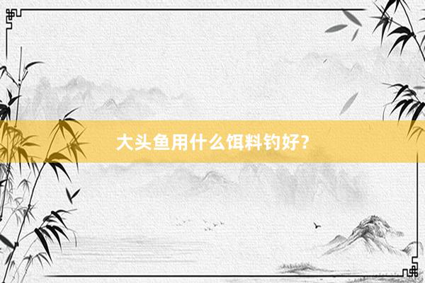 大头鱼用什么饵料钓好？